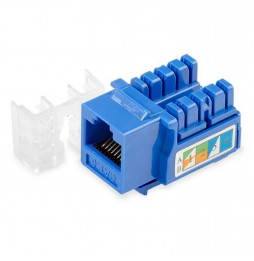 Conector Jack Coupler RJ-45 CAT6E Azul Wireplus+ (Unidad)